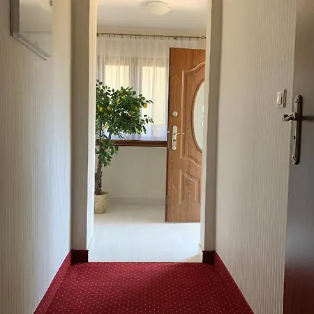Pokoje Zalesie Ostrowo  Exterior photo