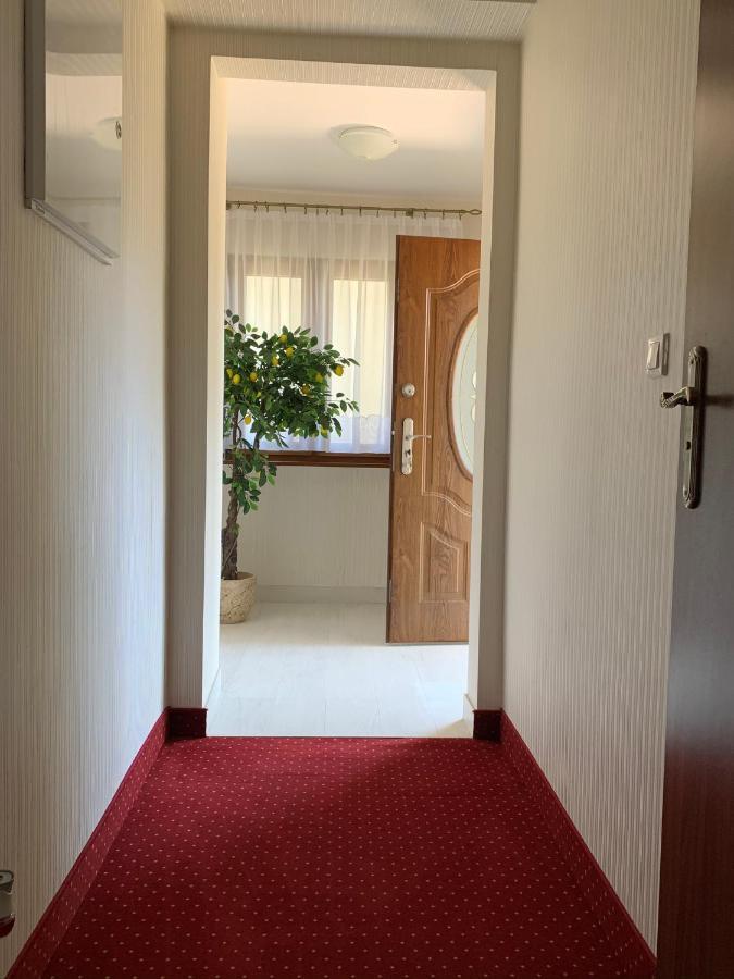 Zalesie Homestay *
